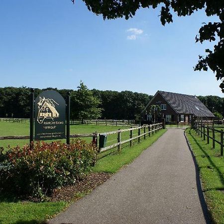 Vila Recreatieoord Hippique Westendorp Exteriér fotografie